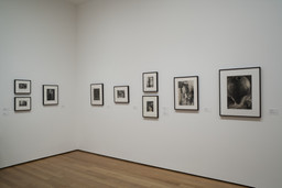 Installation photo, 16 of 27