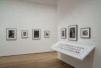 Photography Collection: Rotation 6. Aug 7, 2009–Mar 22, 2010. 7 other works identified