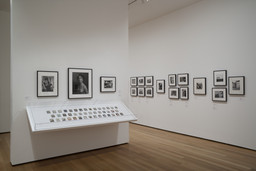 Installation photo, 18 of 27