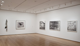 Installation photo, 10 of 21