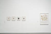 Compass in Hand: Selections from The Judith Rothschild Foundation Contemporary Drawings Collection. Apr 22, 2009–Jan 4, 2010. 4 other works identified