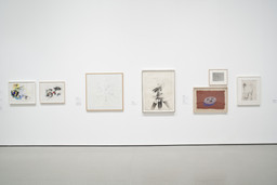 Installation photo, 70 of 72