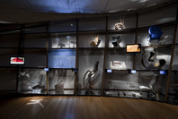 Ron Arad: No Discipline. Aug 2–Oct 19, 2009. 1 other work identified