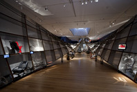 Ron Arad: No Discipline. Aug 2–Oct 19, 2009.