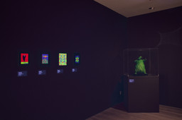 Installation photo, 10 of 74