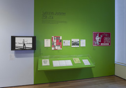 Installation photo, 16 of 74