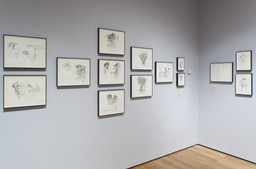 Installation photo, 20 of 74