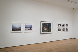 Installation photo, 7 of 10