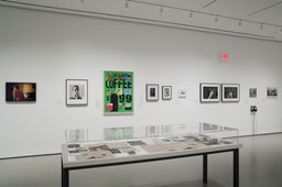 Installation photo, 7 of 16