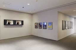 Installation photo, 64 of 74