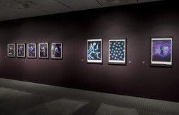 Installation photo, 67 of 74