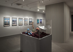 Installation photo, 69 of 74