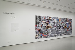 Installation photo, 14 of 16