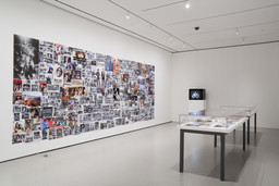 Installation photo, 15 of 16
