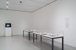 Installation photo, 16 of 16