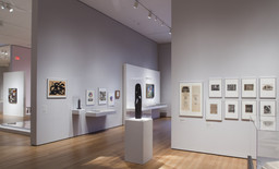 Installation photo, 16 of 76