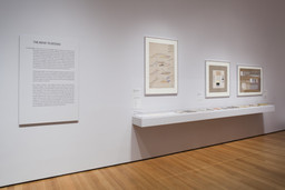 Installation photo, 41 of 76
