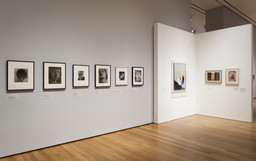 Installation photo, 49 of 76