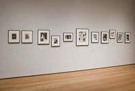 Bauhaus 1919–1933: Workshops for Modernity. Nov 8, 2009–Jan 25, 2010. 6 other works identified