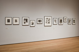 Installation photo, 54 of 76