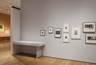 Bauhaus 1919–1933: Workshops for Modernity. Nov 8, 2009–Jan 25, 2010. 1 other work identified
