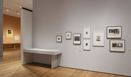 Installation photo, 60 of 76
