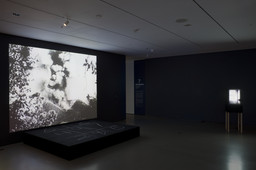 Installation photo, 6 of 7