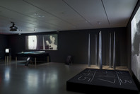 Performance 7: Mirage by Joan Jonas. Dec 18, 2009–May 31, 2010.