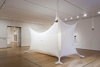 Ernesto Neto: Navedenga. Jan 22–Apr 5, 2010. 1 other work identified