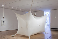 Ernesto Neto: Navedenga. Jan 22–Apr 5, 2010. 1 other work identified