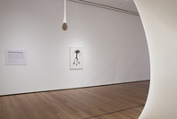 Ernesto Neto: Navedenga. Jan 22–Apr 5, 2010.