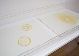 Installation photo, 5 of 8