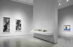 Installation photo, 6 of 49