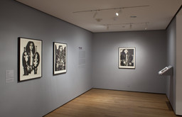 Installation photo, 3 of 26