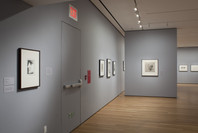 Picasso: Themes and Variations. Mar 28–Aug 30, 2010. 3 other works identified