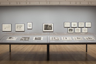 Picasso: Themes and Variations. Mar 28–Aug 30, 2010. 8 other works identified