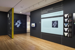 Installation photo, 6 of 28