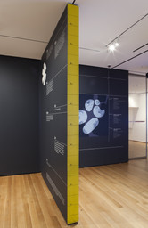 Installation photo, 7 of 28