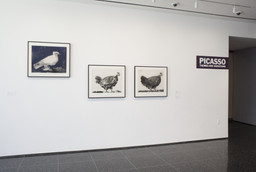 Installation photo, 23 of 26