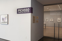 Picasso: Themes and Variations. Mar 28–Aug 30, 2010.