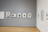 Henri Cartier-Bresson: The Modern Century. Apr 11–Jun 28, 2010. 7 other works identified