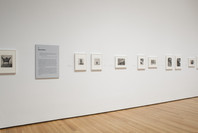 Henri Cartier-Bresson: The Modern Century. Apr 11–Jun 28, 2010. 1 other work identified