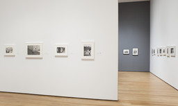 Henri Cartier-Bresson: The Modern Century. Apr 11–Jun 28, 2010. 2 other works identified