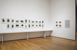 Installation photo, 32 of 54