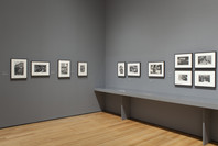 Henri Cartier-Bresson: The Modern Century. Apr 11–Jun 28, 2010. 1 other work identified
