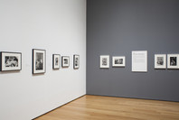 Henri Cartier-Bresson: The Modern Century. Apr 11–Jun 28, 2010. 3 other works identified