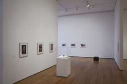 Installation photo, 9 of 48