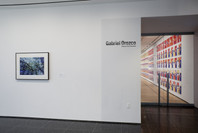 Gabriel Orozco: Samurai Tree Invariants. Dec 13, 2009–Mar 1, 2010.
