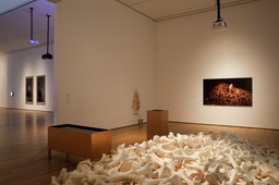 Installation photo, 68 of 134