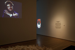 Installation photo, 71 of 134